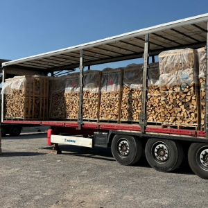 Birkenholz – Großladung (48 RM) – 50 cm Stämme, Produktansicht 1