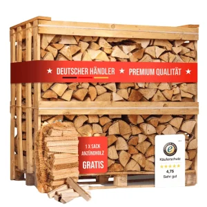Buchen-Kaminholz – 1 RM / 1 – 6 SRM, 25 cm, 500 kg, Produktansicht 1